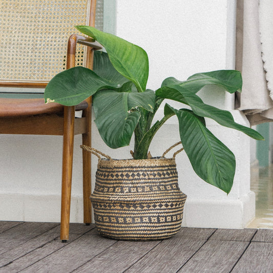 Black Stripe Seagrass Wicker Planter