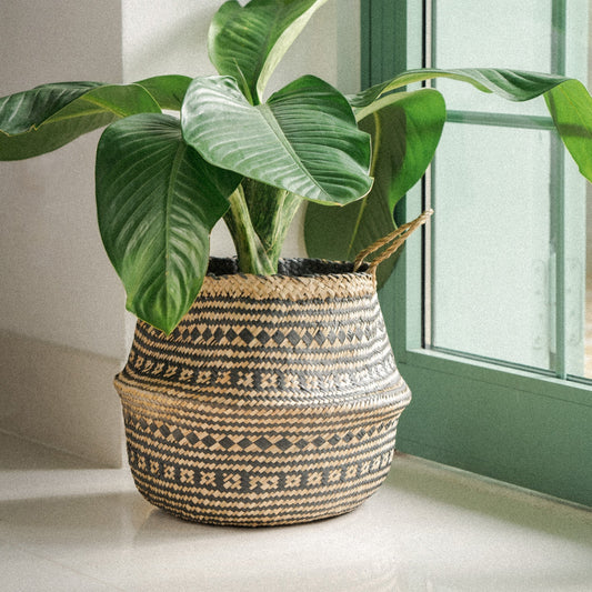 Black Stripe Seagrass Wicker Planter